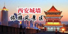 爆操小嫩逼视频网站中国陕西-西安城墙旅游风景区